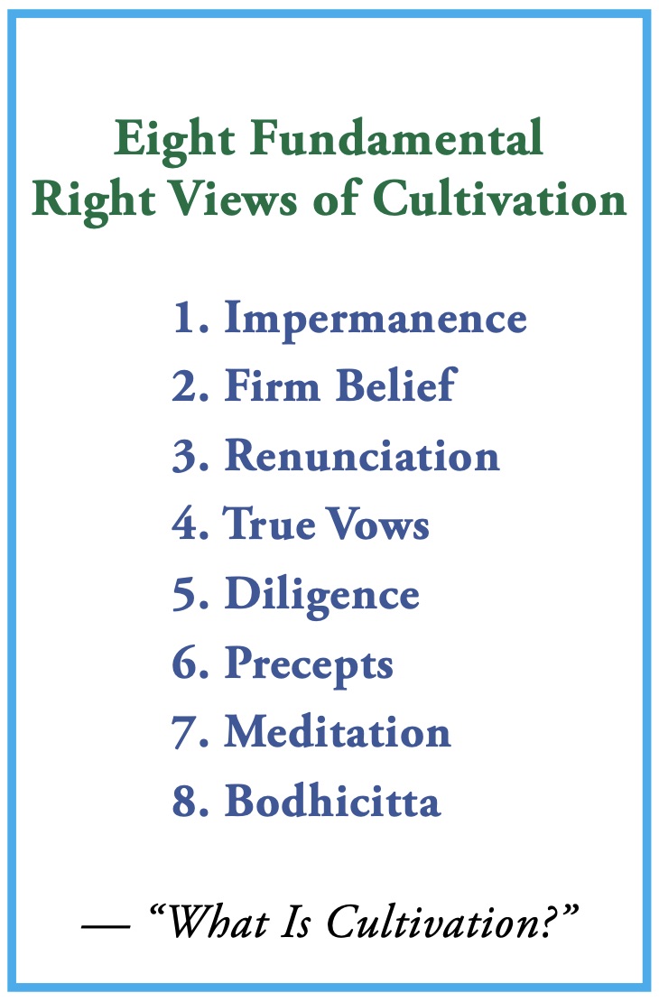 Eight Fundamental Right Views of Cultivation