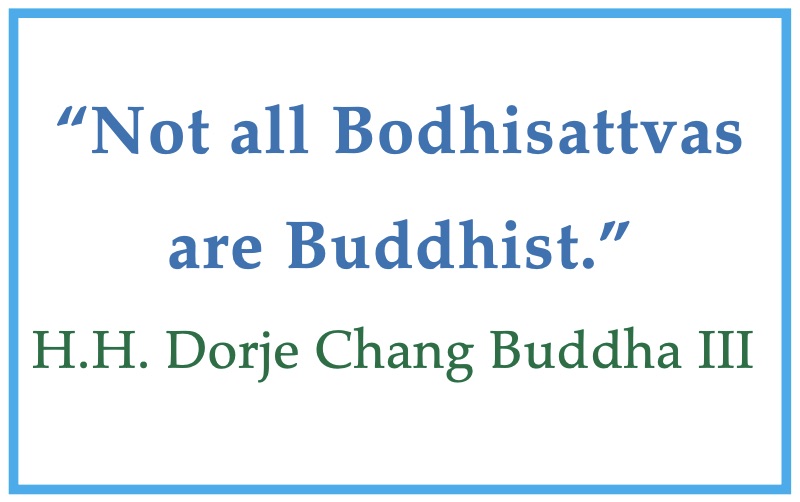 Not all Bodhisattvas are Buddhist - quote from Thus Have I Seen Book
